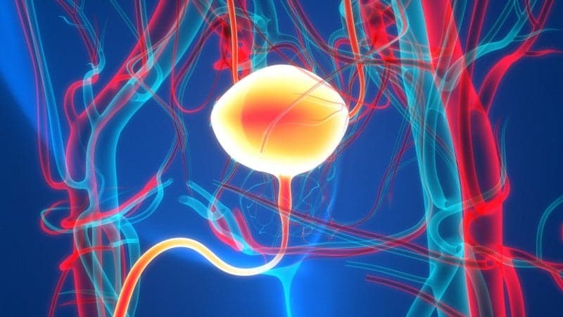 View our Student Committee